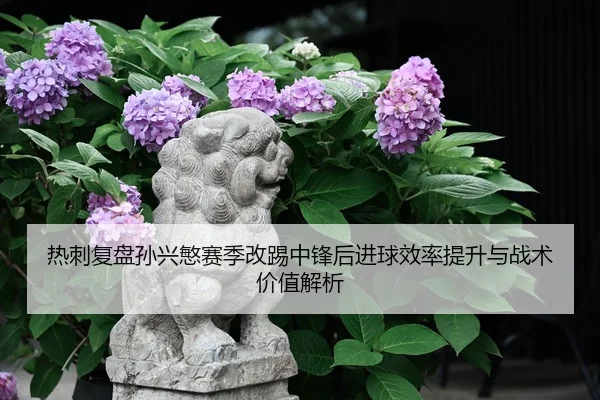 热刺复盘孙兴慜赛季改踢中锋后进球效率提升与战术价值解析